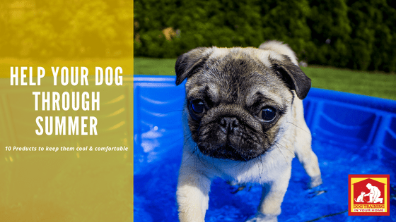 10 Dog Products for Summer | Dog Training In Your Home Columbia